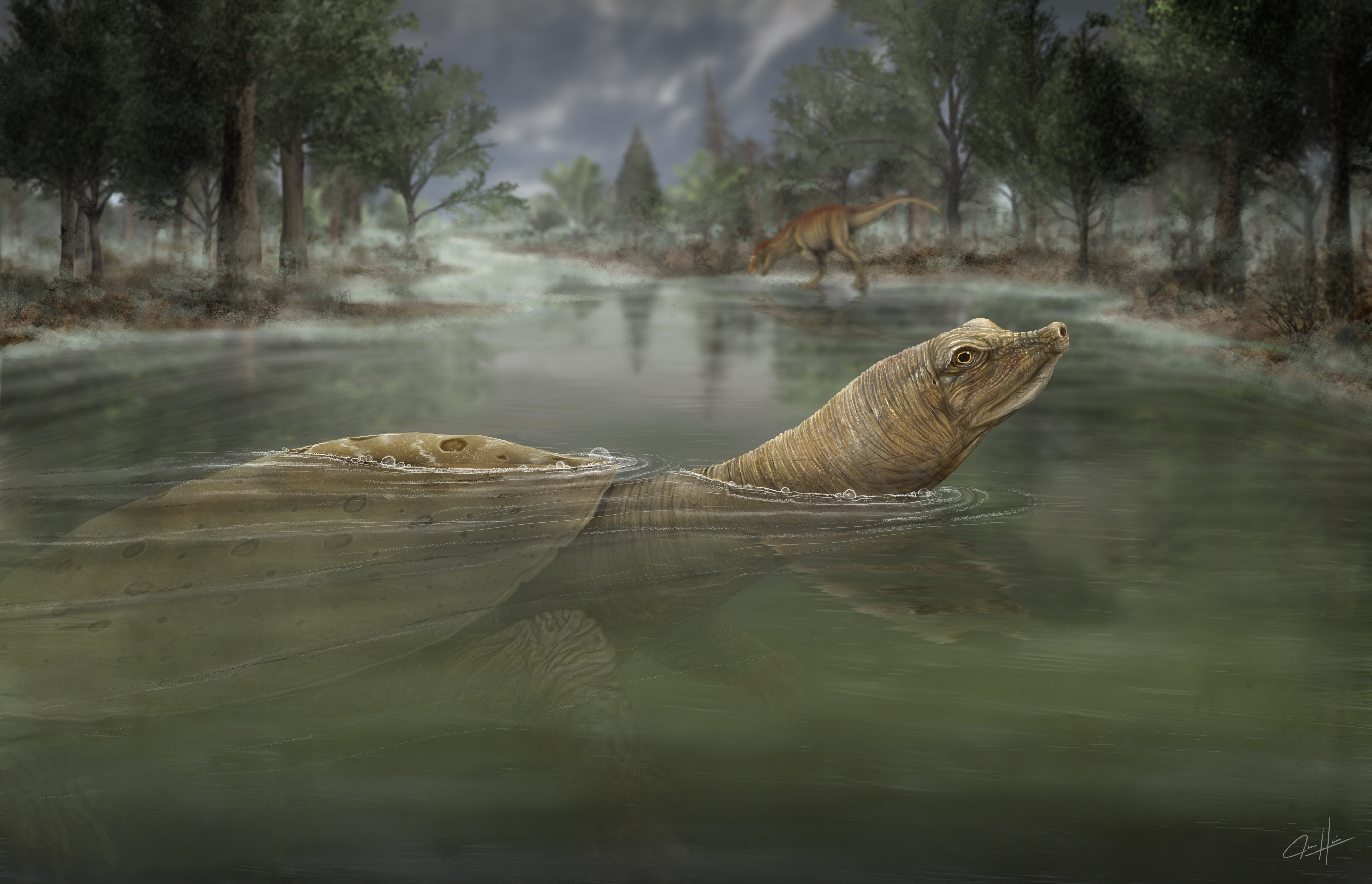 Trionyx & Daspletosaurus